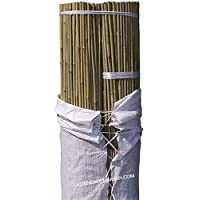 Suinga. 100 x TUTOR DE BAMBU 240 cm- diámetro 18-22 mm. Uso agrícola para sujetar árboles- plantas y hortalizas.